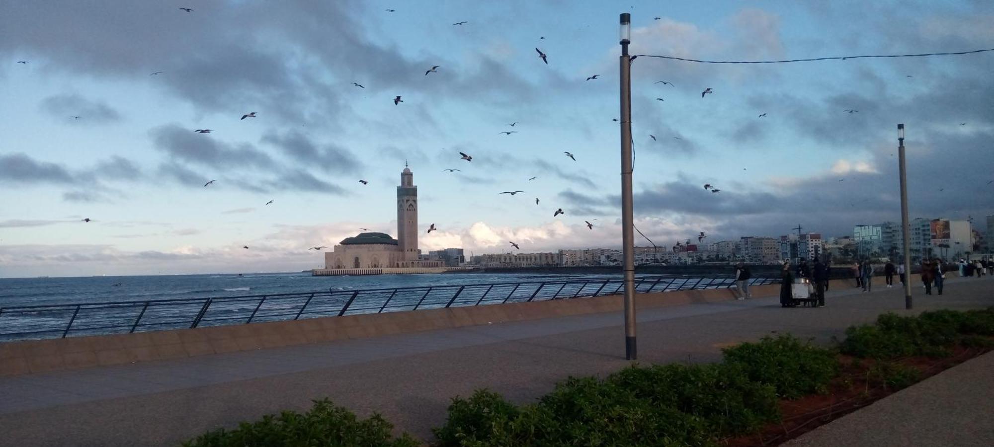 Moroccan Teguemi Kazablanka Dış mekan fotoğraf